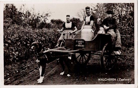 Walcheren (Zeeland) Koudekerke Hondenkar met personeel, Verzenden, 1940 tot 1960, Gelopen, Ambachten of Beroep