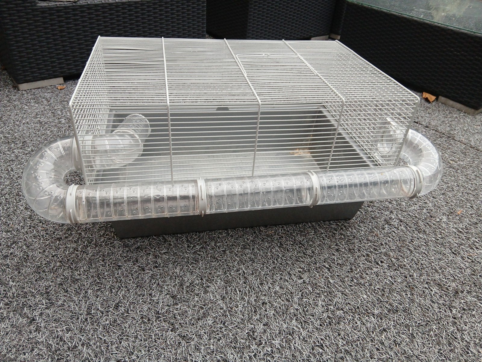 Hamster kooi, Kooi, Gebruikt, Minder dan 75 cm, Hamster