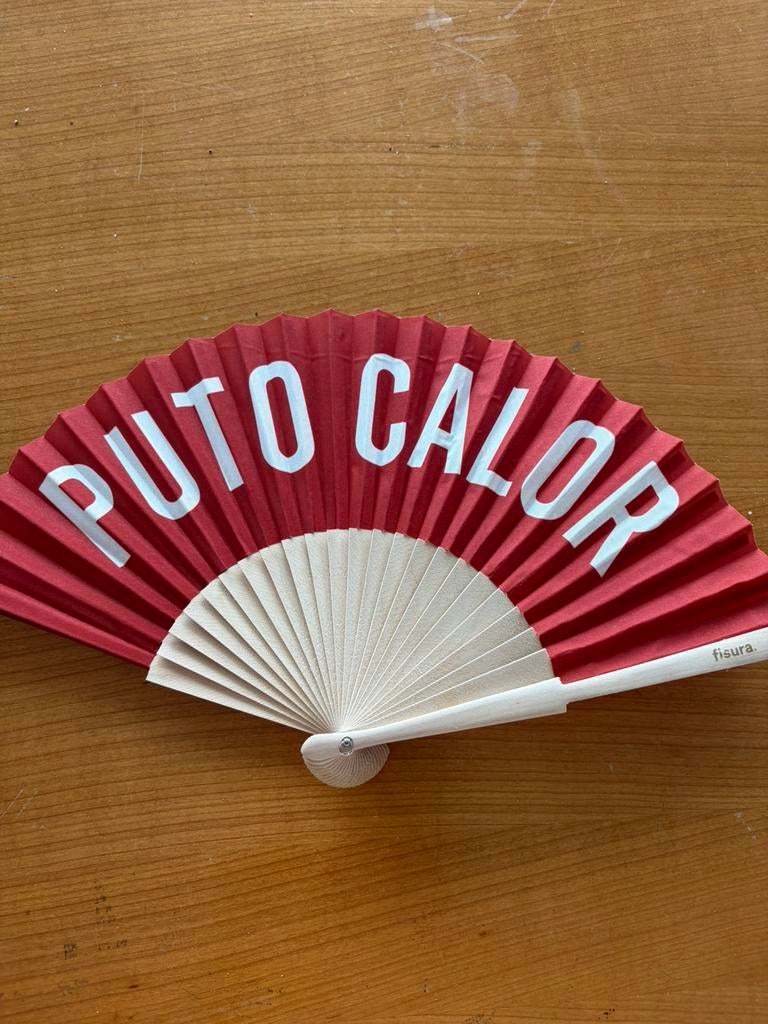 Hand fan, Ophalen of Verzenden, Zo goed als nieuw, Zilver, Overige materialen