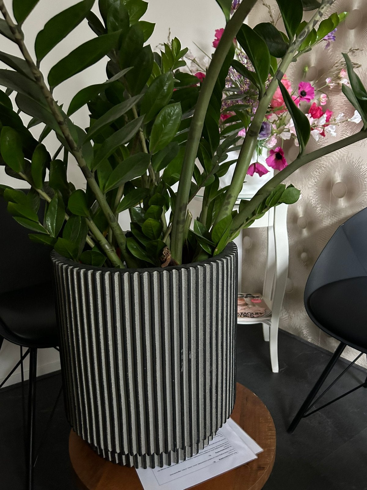 Mooie vetplant in kunstofpot, Huis en Inrichting, Kamerplanten, Ophalen, Vetplant, Halfschaduw