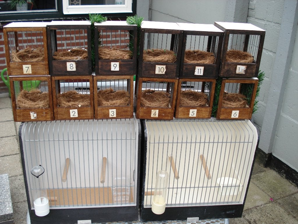 Nestkastjes, Dieren en Toebehoren, Vogels | Hokken en Kooien, Ophalen, Zo goed als nieuw, Hout, Overige typen
