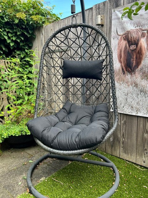 Hangstoel (ei), Ophalen, Zo goed als nieuw, Wicker