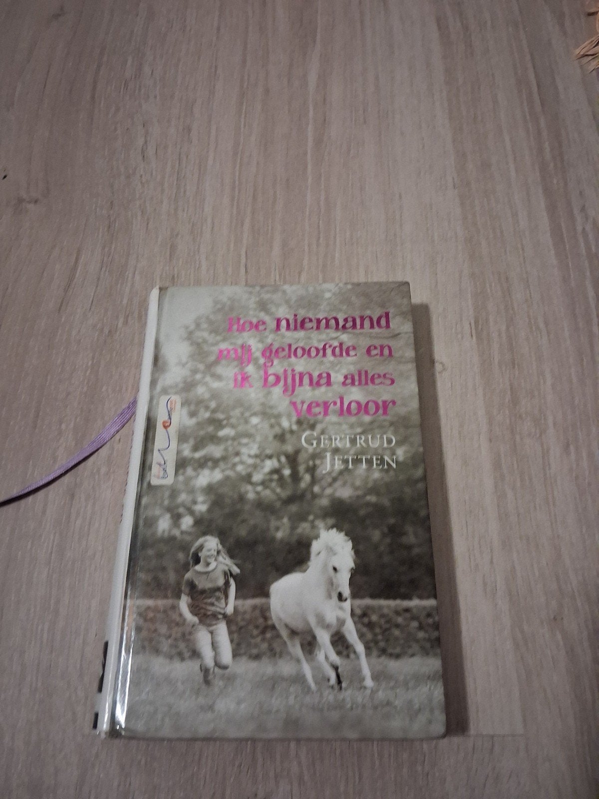 Hoe niemand mij geloofde en ik bijna alles verloor, Ophalen of Verzenden, Gelezen, Gertrud Jetten