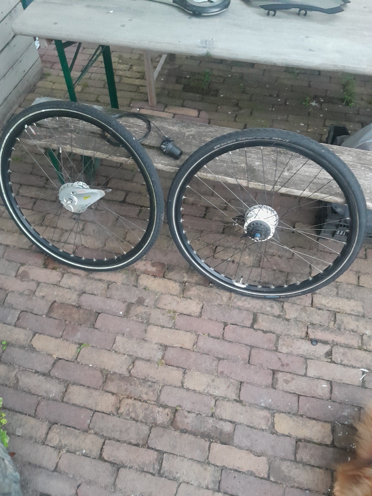 gazelle eclipse 2012 velgen nexus 8, Fietsen en Brommers, Fietsonderdelen, Ophalen