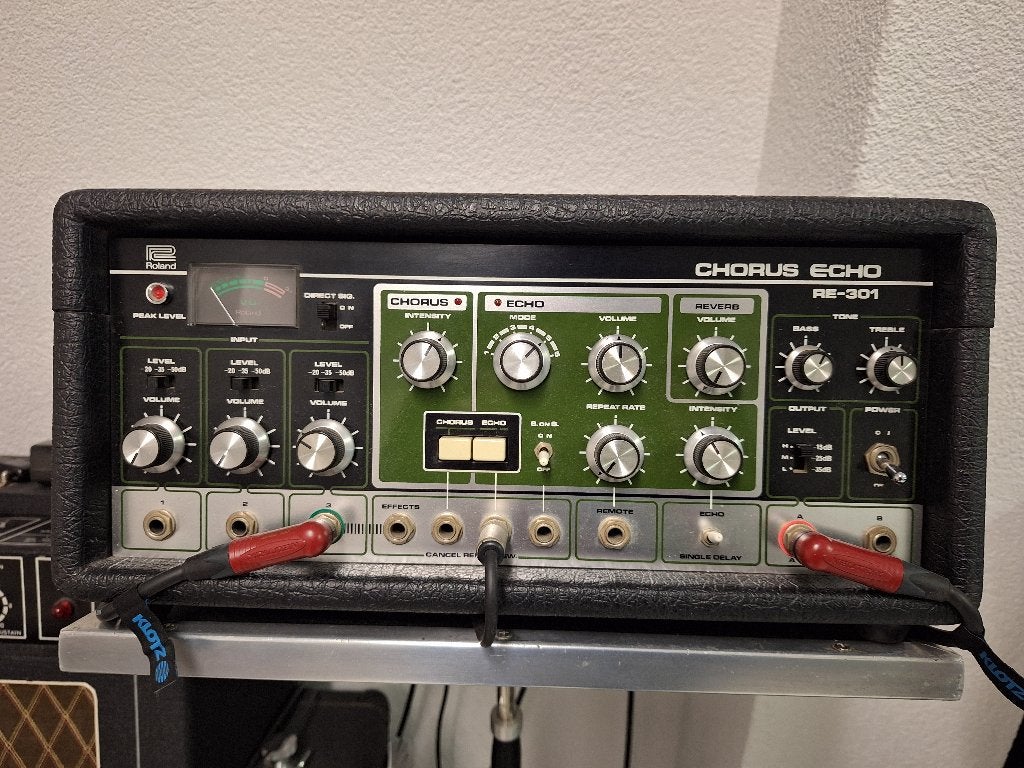 Roland Chorus Echo RE301, Muziek en Instrumenten, Ophalen, Gebruikt, Delay of Echo