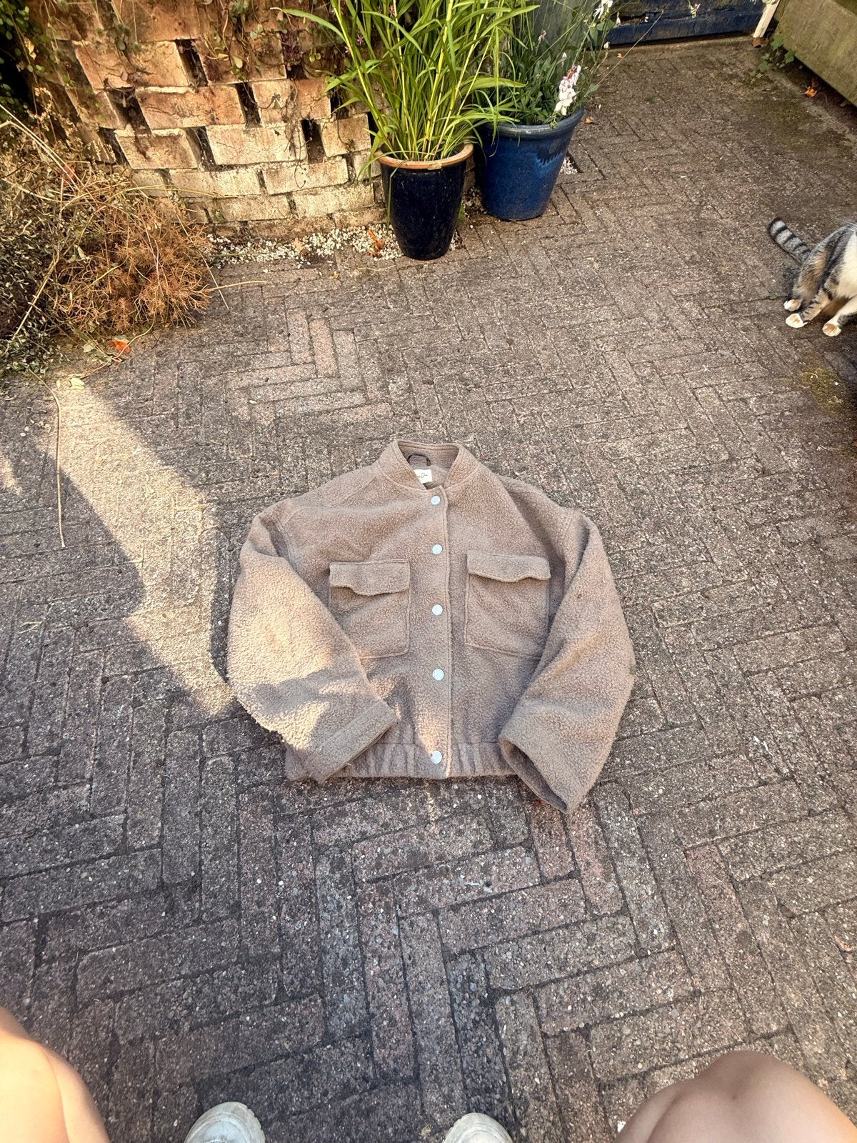 Cotton Club Teddy Jasje Maat M, Ophalen of Verzenden, Zo goed als nieuw, Maat 38/40 (M), Beige