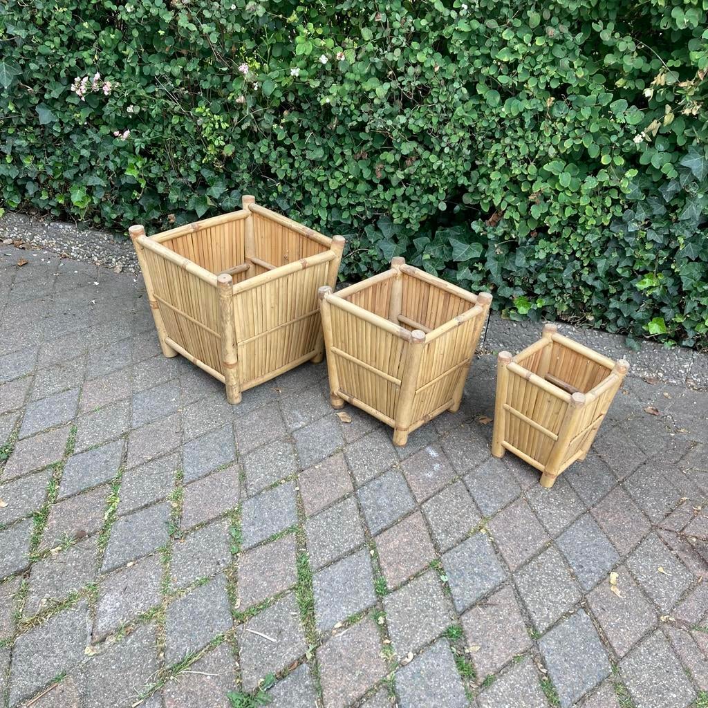 Vintage rotan plantenbakken - set van 3, Ophalen