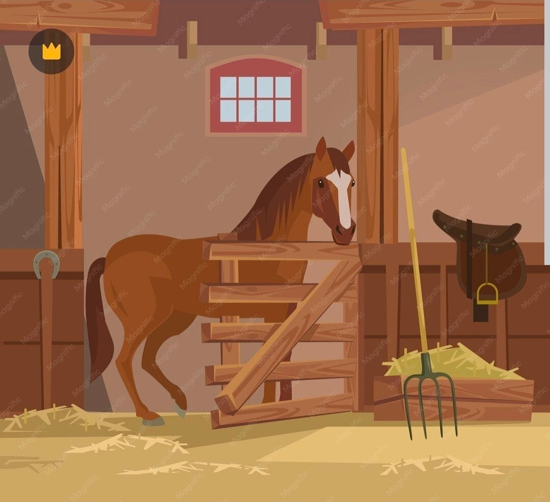 Gezocht: stal tussen Schoorl - Ijmuiden, Dieren en Toebehoren, Stalling, 1 paard of pony