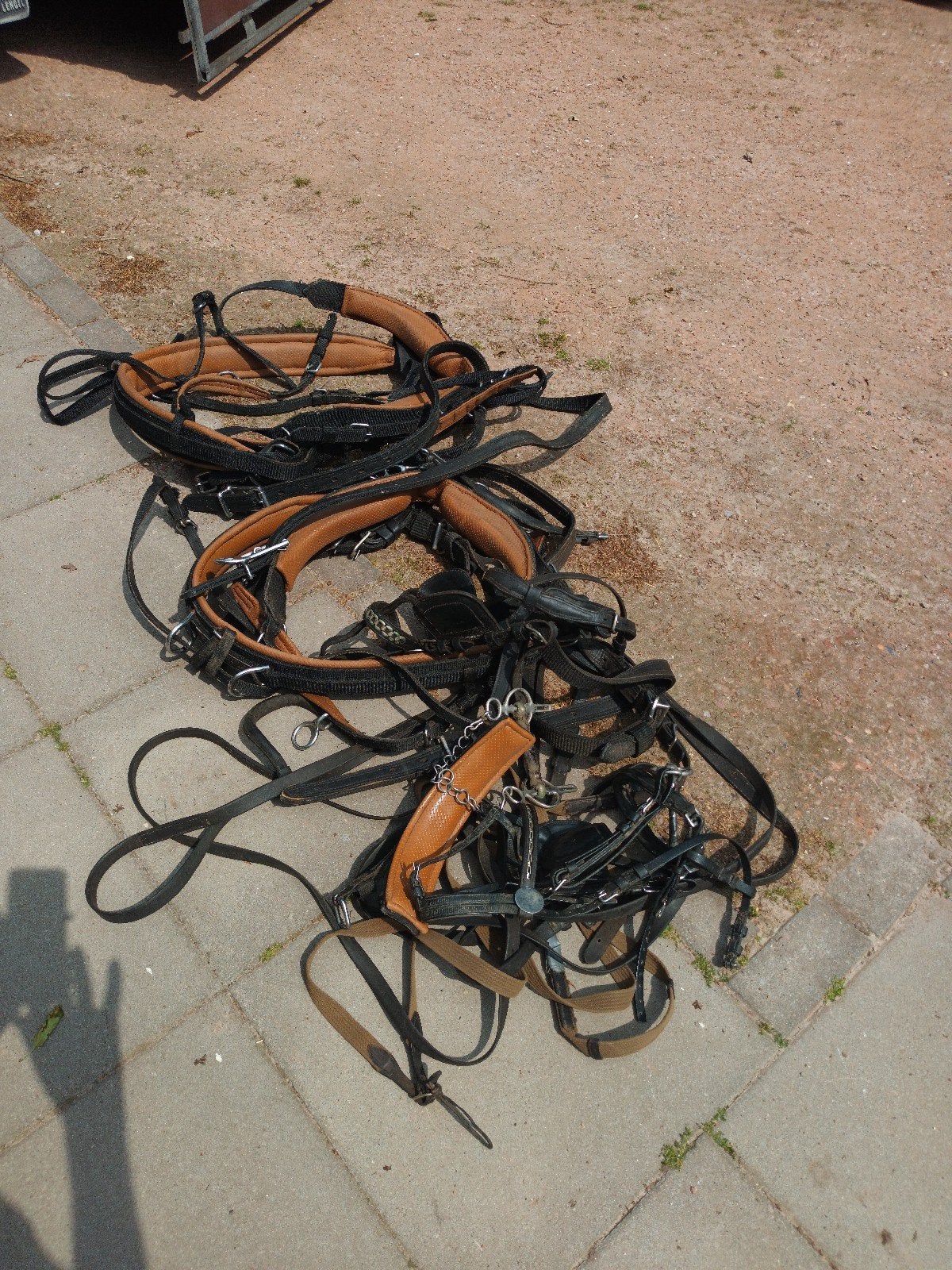 Te koop, Ophalen, Pony