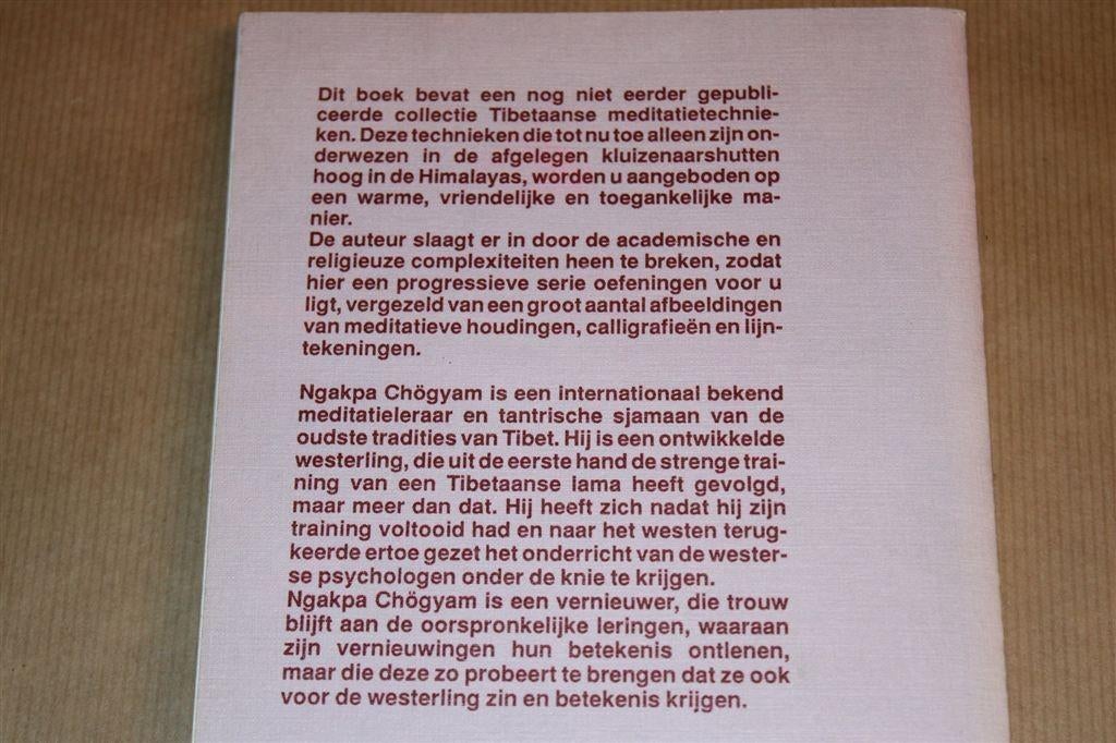 Reis in het Oneindige — Ngakpa Chögyam —Tibetaanse Meditatie, Boeken, Esoterie en Spiritualiteit, Ophalen of Verzenden, Gelezen