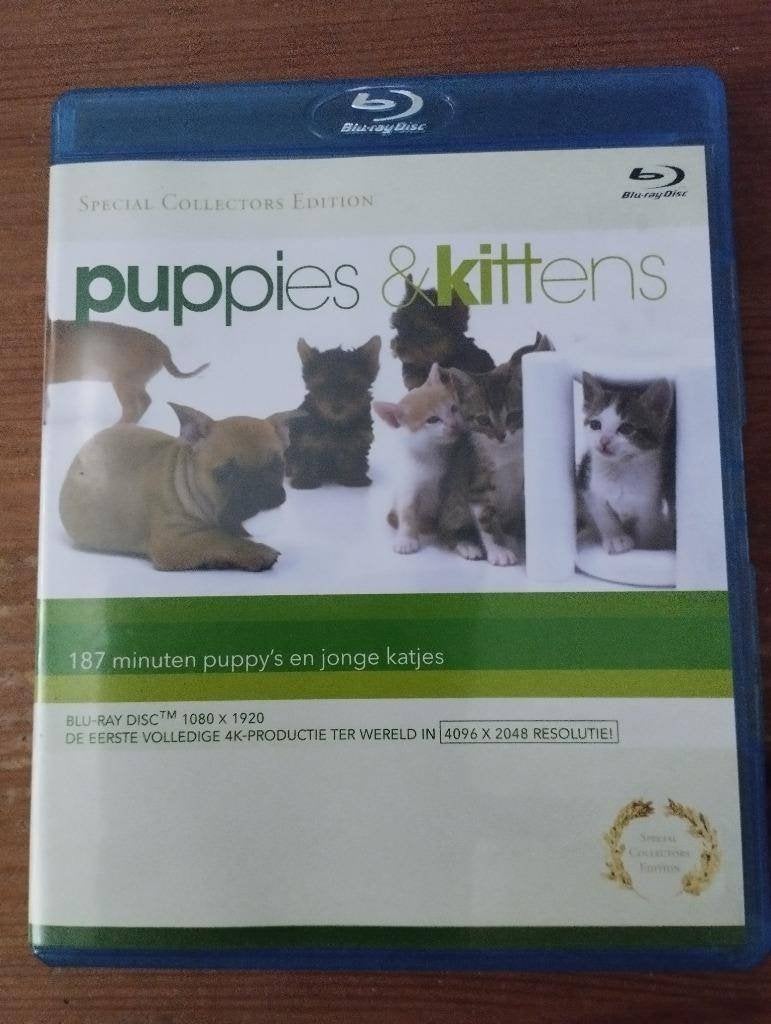 Puppies and kittens blu-ray, Ophalen, Documentaire, Alle leeftijden, Documentaire en Educatief