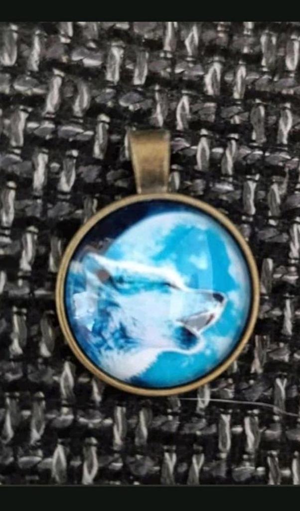 Ketting wolf, Verzenden, Nieuw, Zilver, Met hanger