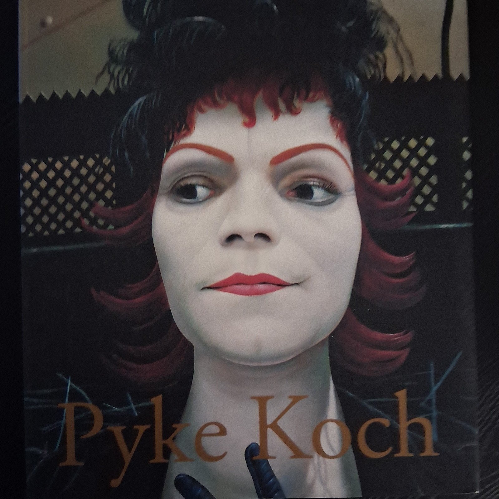 Pyke Koch schilderijen en tekeningen ned. eng., Boeken, Verzenden, Zo goed als nieuw