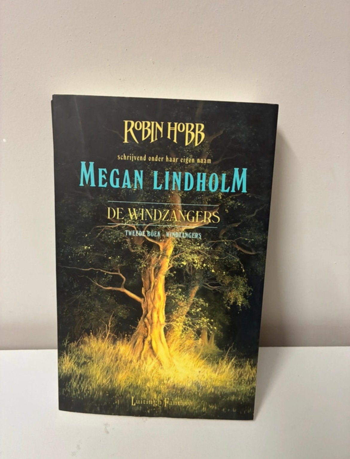 Boek de windvangers, Ophalen of Verzenden, Zo goed als nieuw, Spiritualiteit algemeen, Overige typen