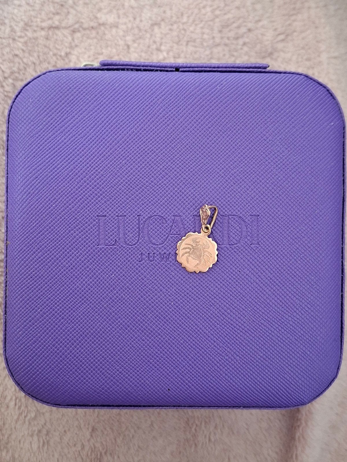 14k 585 gouden hanger met het sterrenbeeld Kreeft, Ophalen of Verzenden, Zo goed als nieuw