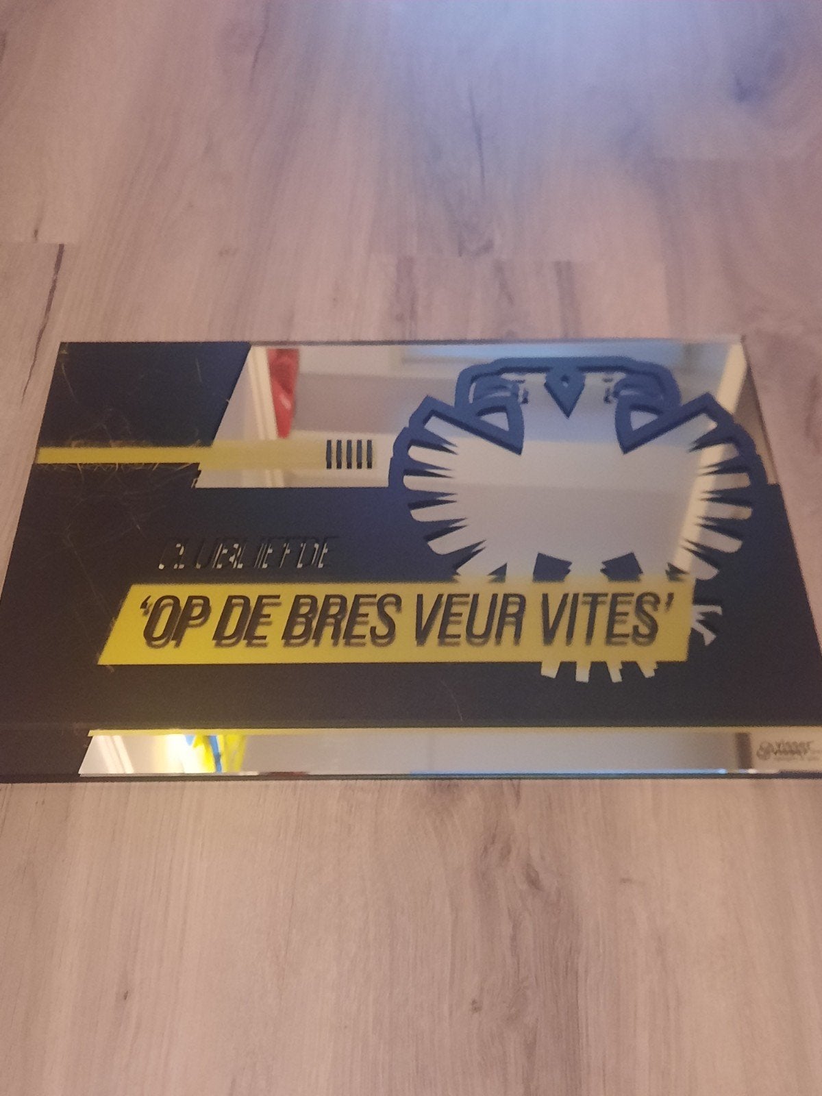 vitesse spiegel 42cm bij 30cm, Verzamelen, Ophalen of Verzenden, Vitesse