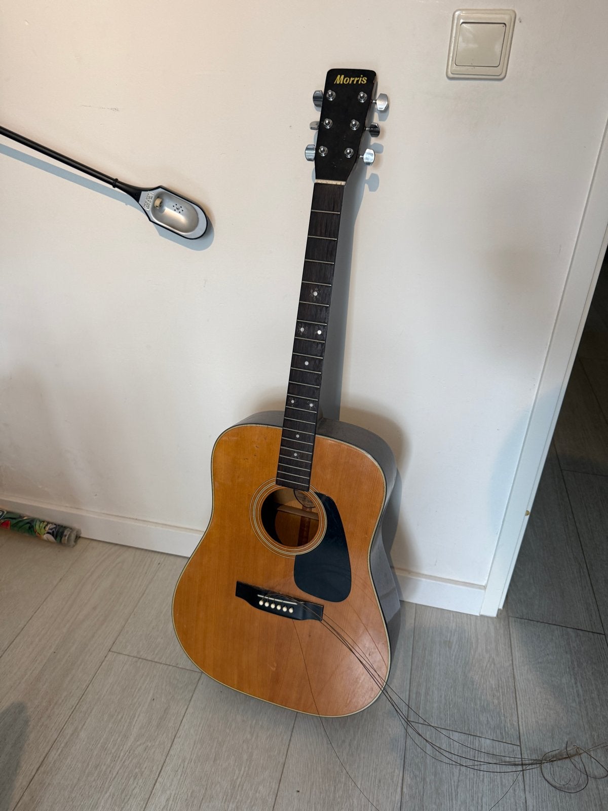 Morris MD-501 Western gitaar - Opknapper, Ophalen, Gebruikt, Western- of Steelstringgitaar