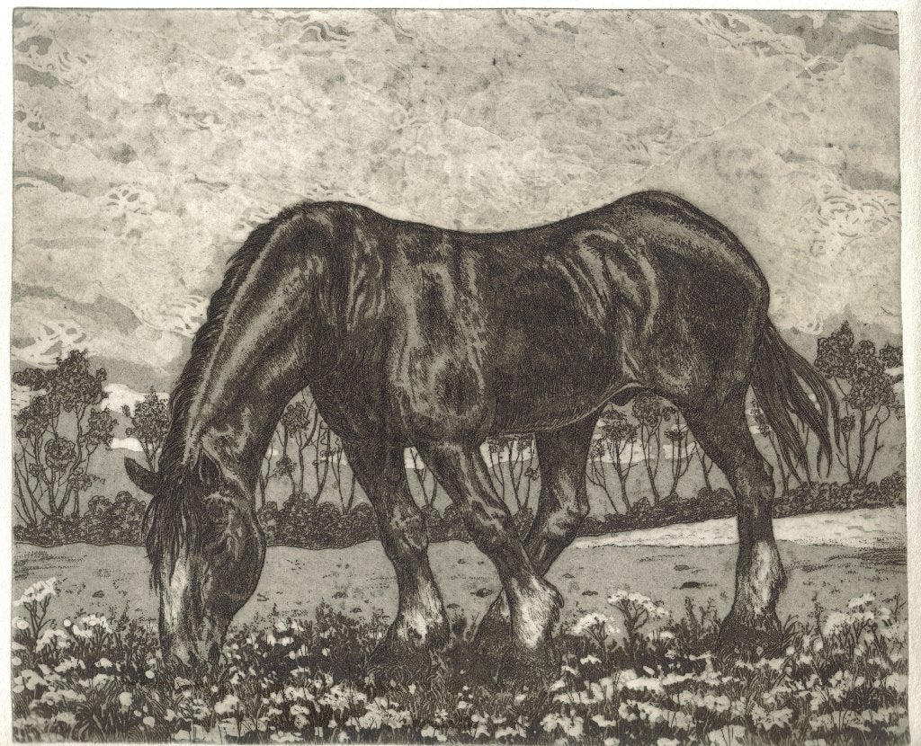 Dirk Boode ets "Grazend Paard:, gesigneerd, Ophalen, Ets, Flora en Fauna, Origineel