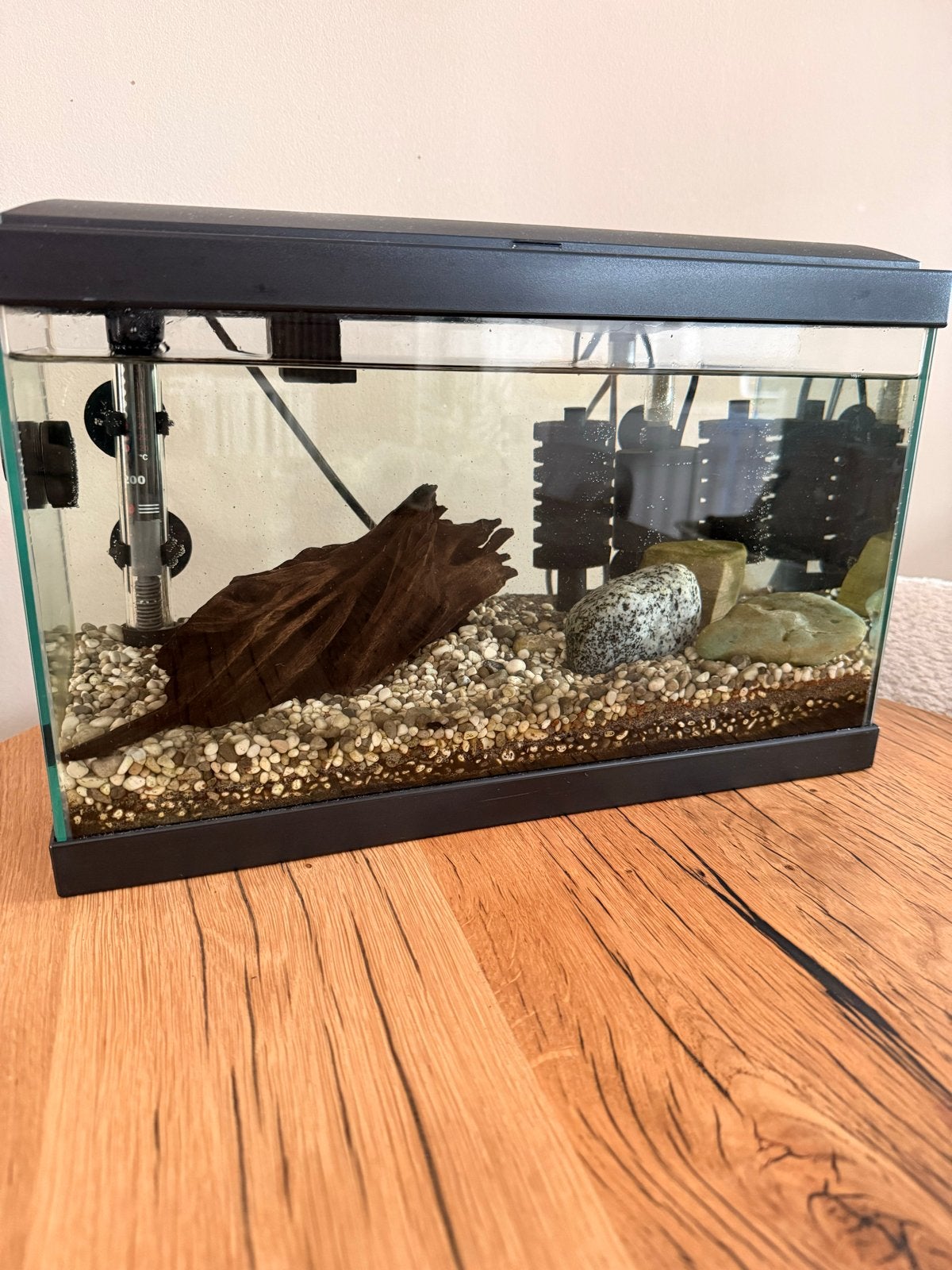 Klein aquarium, Dieren en Toebehoren, Juwel, Ophalen, Inclusief deksel, Gevuld zoetwateraquarium