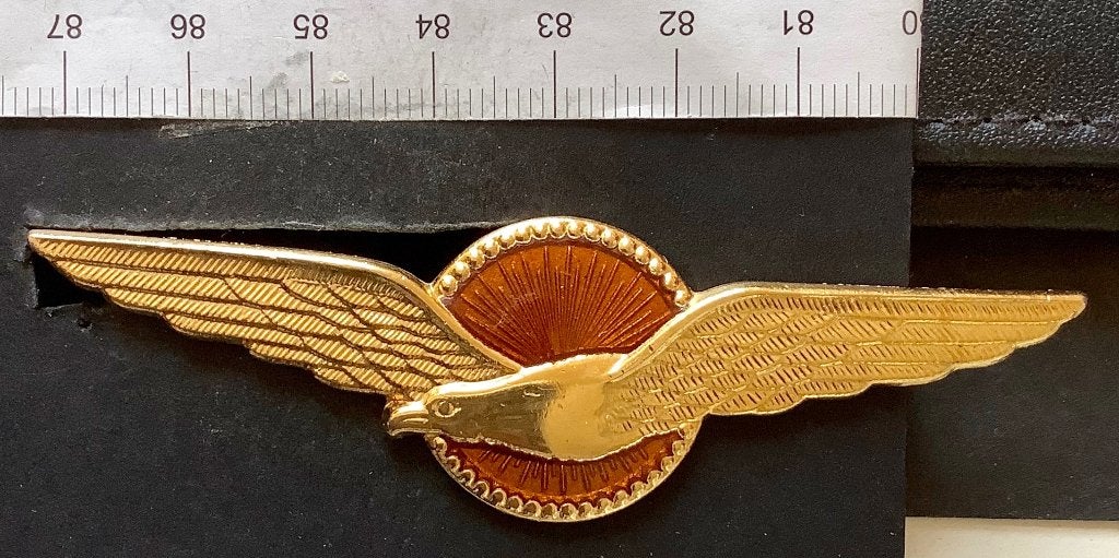 pin, vlieger wing Kon Luchtmacht, emaille, Ophalen of Verzenden, Gebruikt, Speldje of Pin