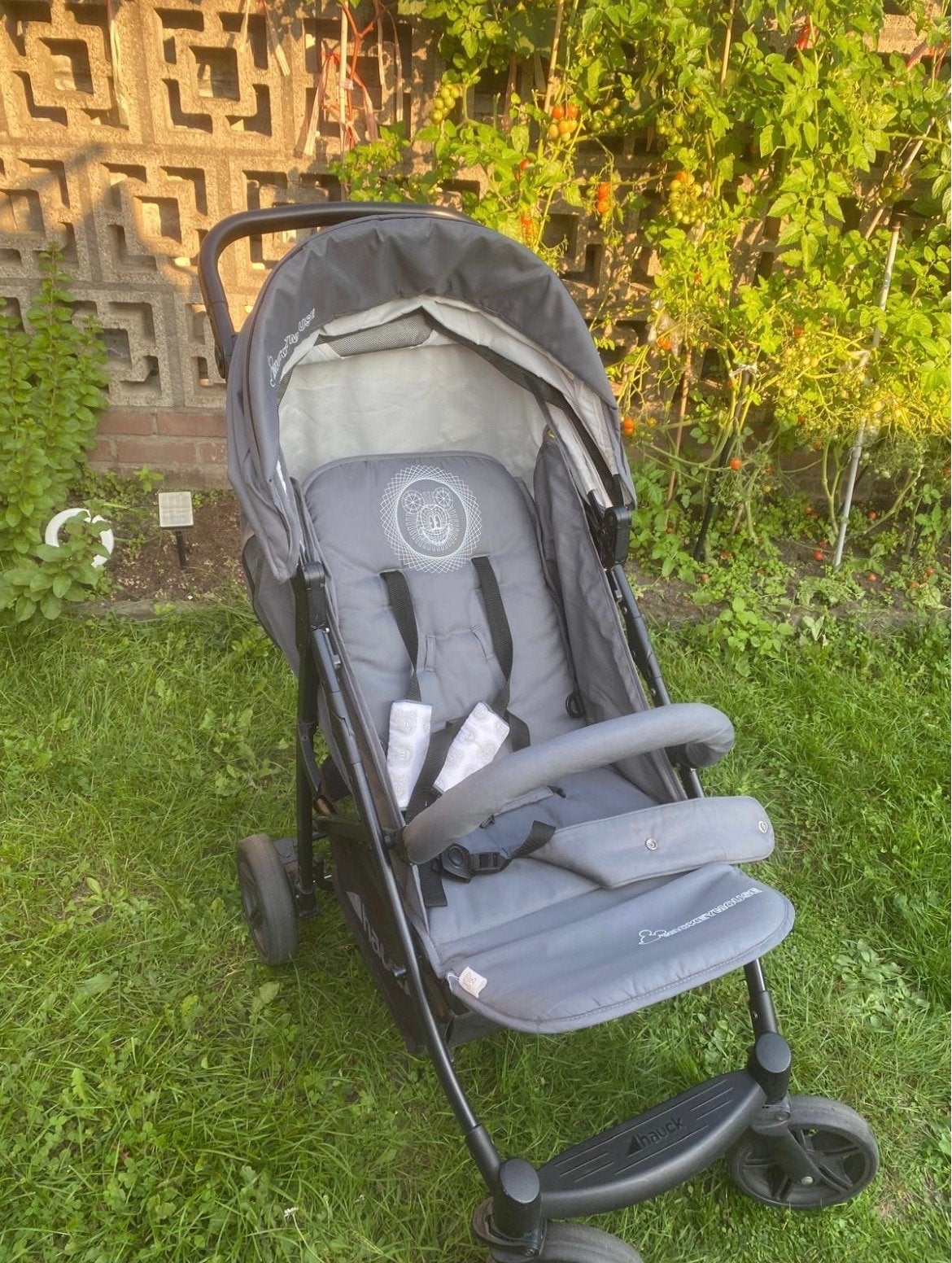 Hauck Mickey Mouse Buggy - Grijs, Verstelbaar, Ophalen, Gebruikt, Overige merken, Verstelbare rugleuning