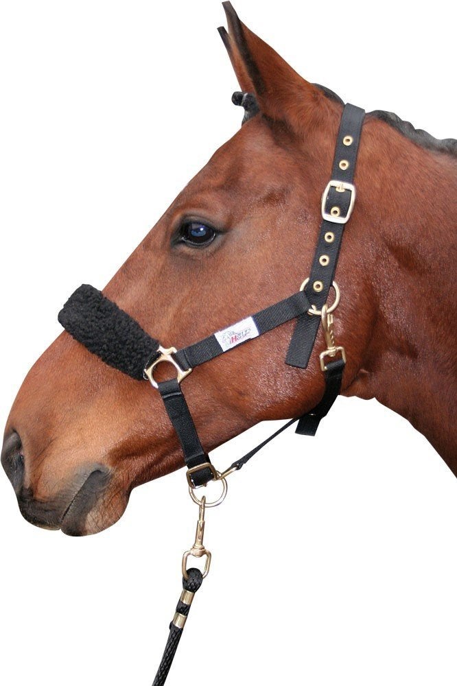 Harry's Horse Neusbontje, neusonderlegger Synthetisch, zwart, Ophalen of Verzenden, Nieuw, Zwart, Harry's Horse