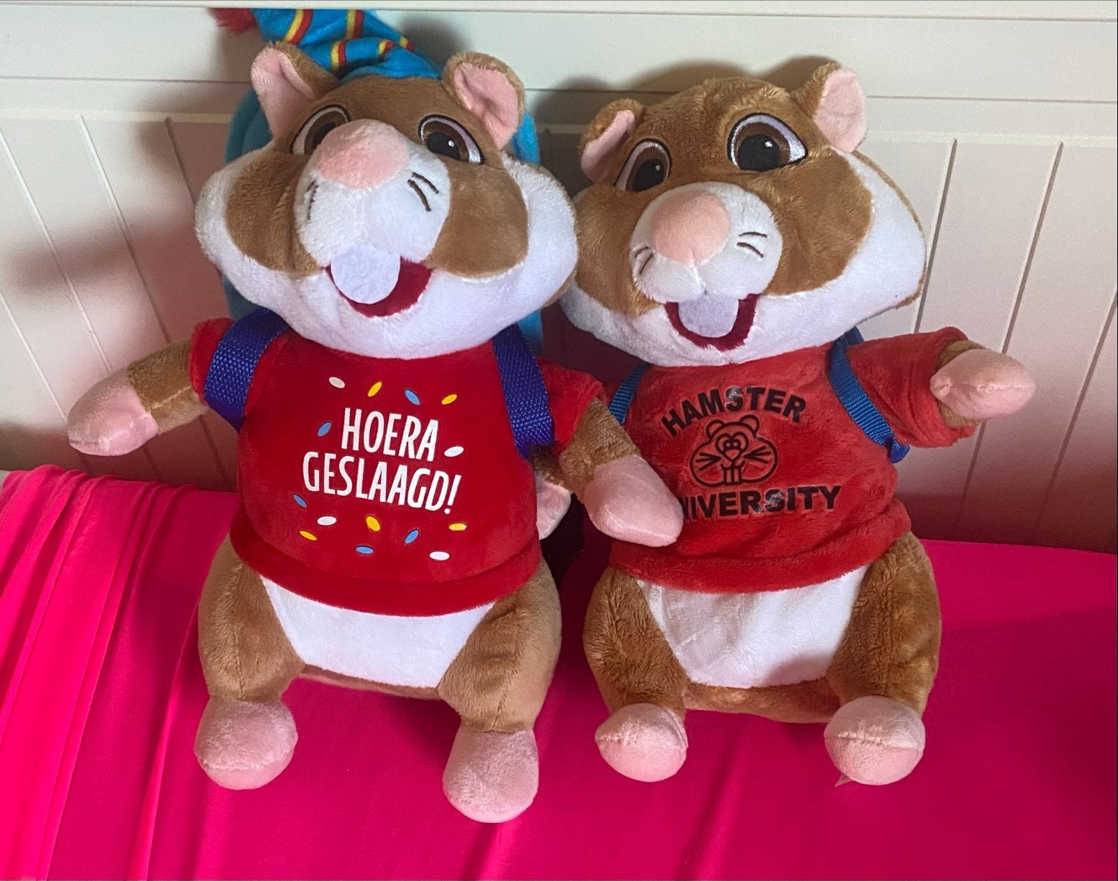 Ah hamsters school editie 2022, Ophalen, Hamster, Zo goed als nieuw, Middelgroot (20 tot 80 cm)