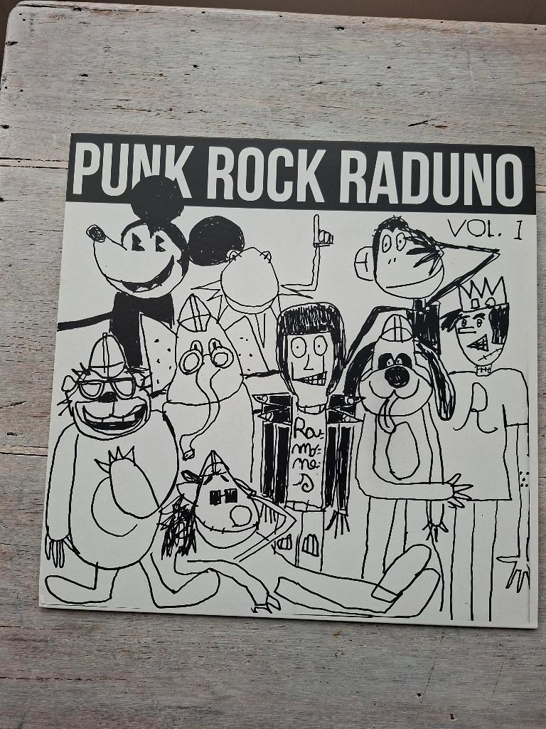 Punk Rock Raduno vol.1, Ophalen of Verzenden, Gebruikt, 12 inch, Alternative