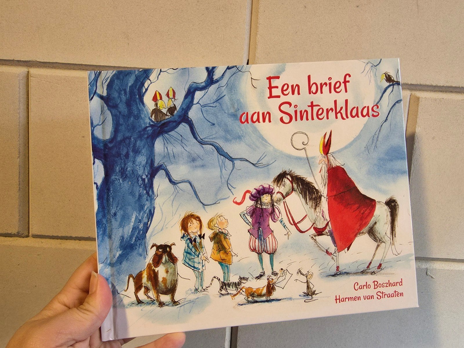 Sinterklaas boek: 'Sint wil een hit' en 'Een brief aan Sint, Ophalen of Verzenden, Zo goed als nieuw, Donnie, Sasa Ostojic, Carlo Boszhard, Harmen van Straaten