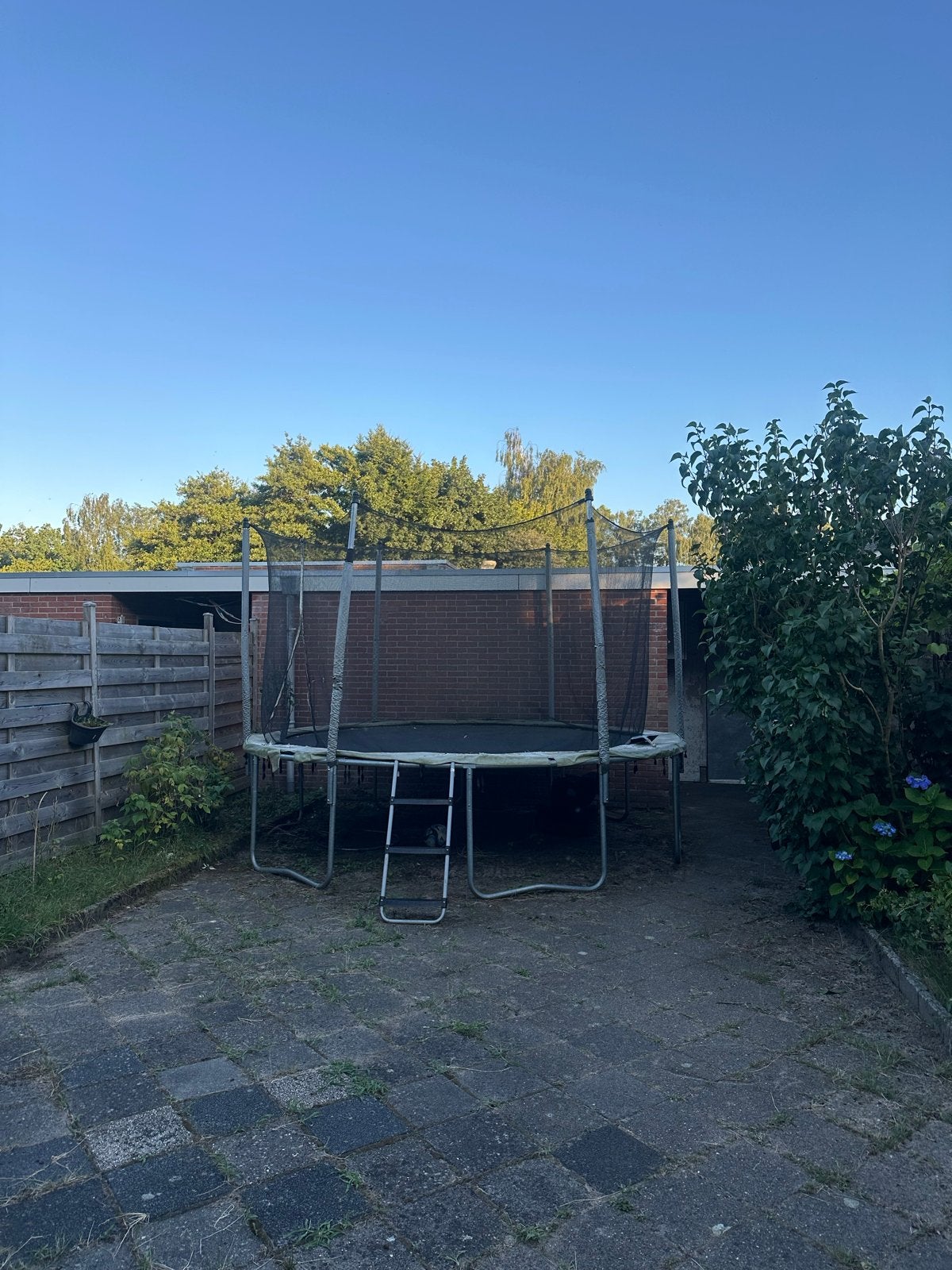 Trampoline gratis ophalen - Domyos Essential 365, Kinderen en Baby's, Speelgoed | Buiten | Trampolines, Ophalen, Gebruikt