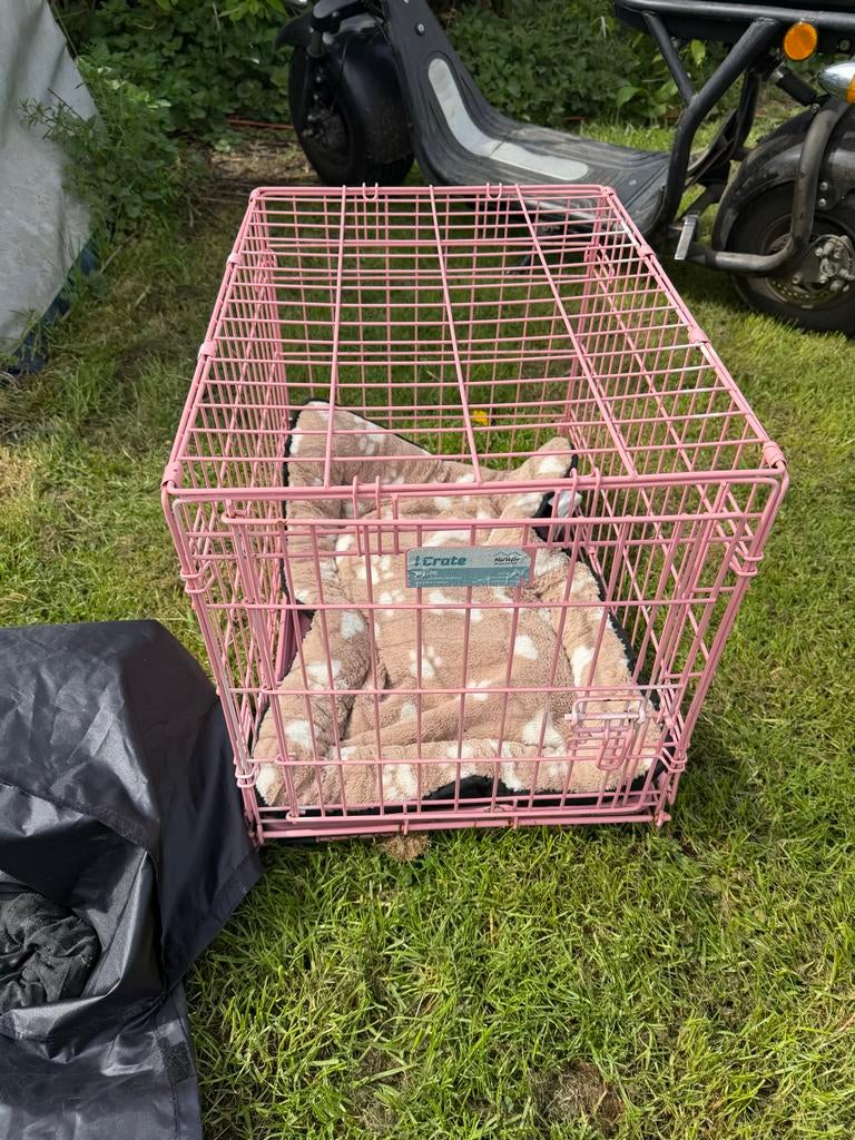Mooie roze bench met kussen en hoes, Dieren en Toebehoren, Ophalen of Verzenden, Zo goed als nieuw