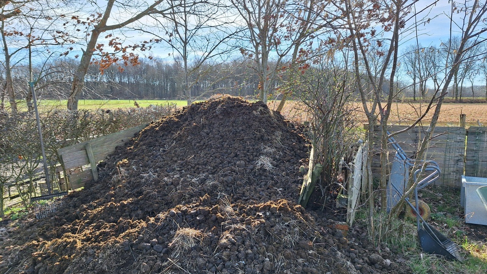 Gratis schone paardemest, Ophalen, Compost
