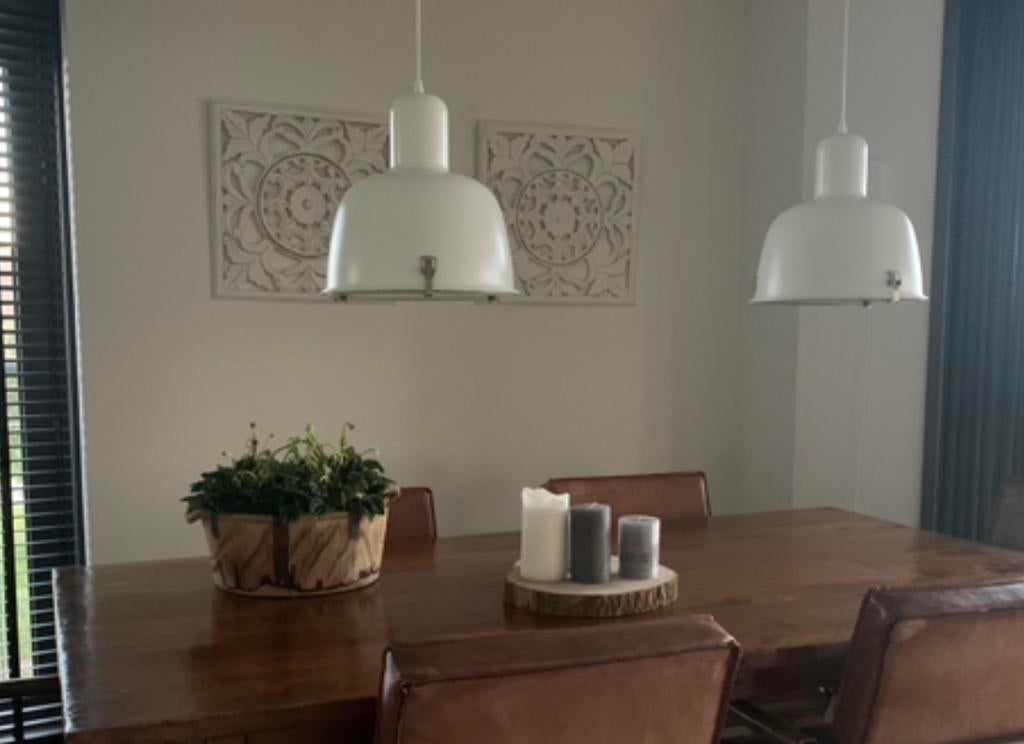 Hanglamp, Ophalen of Verzenden, Zo goed als nieuw, Metaal, Minder dan 50 cm