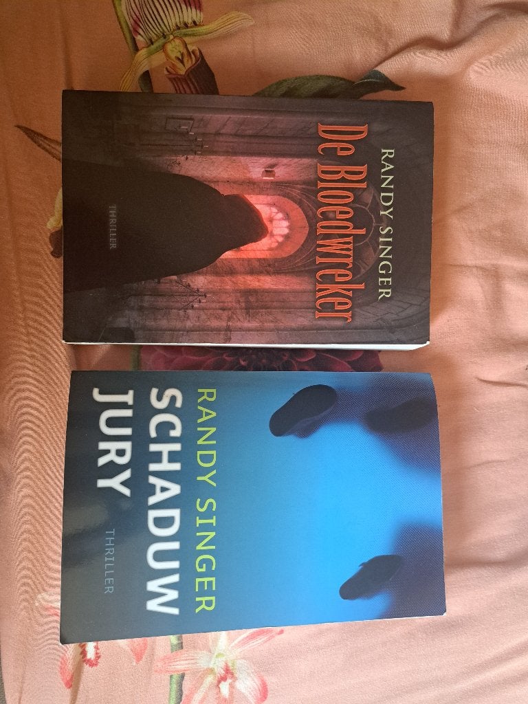 Thrillers Randy Singer, Boeken, Ophalen, Zo goed als nieuw