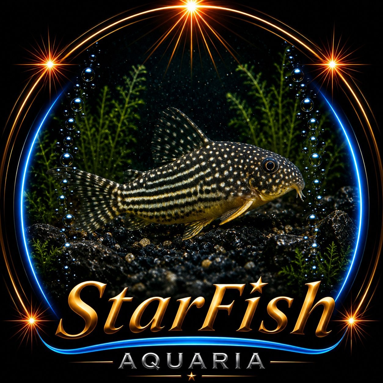 Corydoras Sterbai, Dieren en Toebehoren