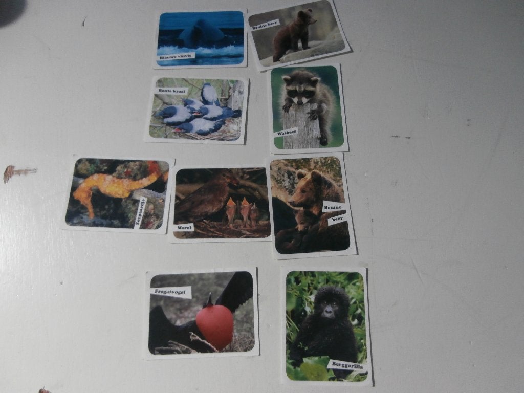 Dierenplaatjes WWF dierenwereld Wereld Natuur Fonds plaatje, Ophalen of Verzenden, Gebruikt