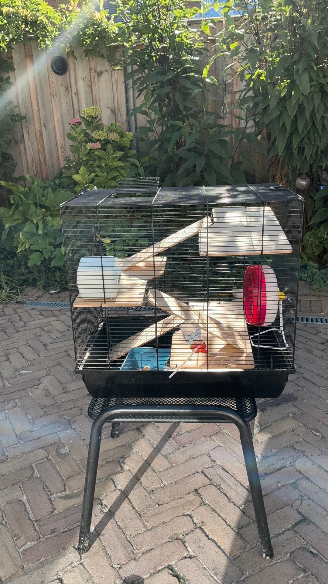 Hamsterkooi, Dieren en Toebehoren, Knaagdieren en Konijnen | Hokken en Kooien, Minder dan 60 cm, Kooi, Minder dan 75 cm, Ophalen of Verzenden