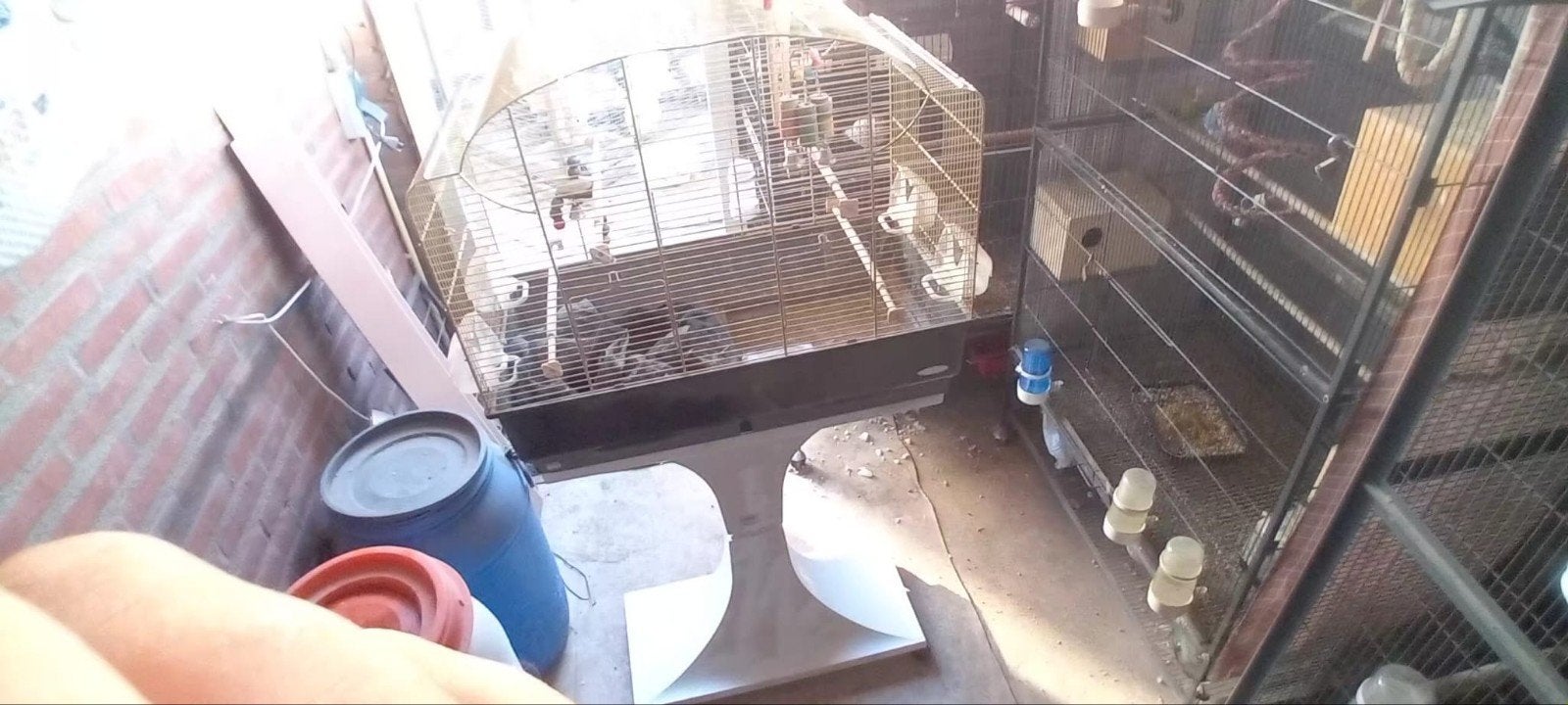 Vogelkooi gebruikt, Ophalen, Metaal, Vogelkooi