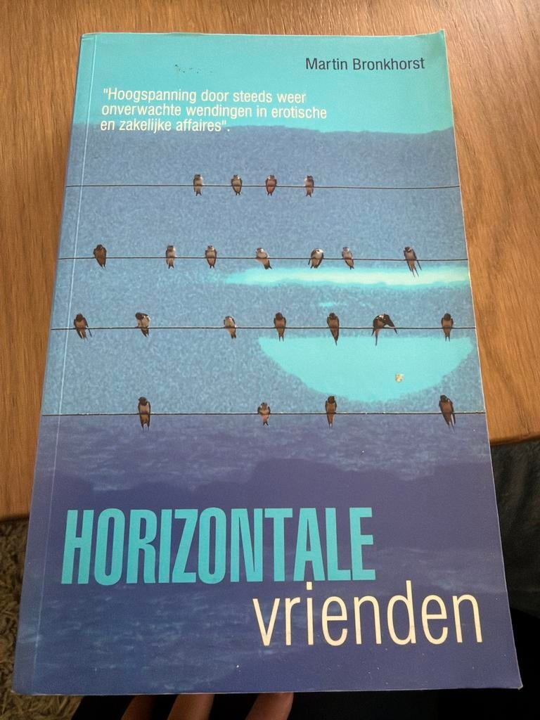 HKR.   Martin Bronkhorst - Horizontale vrienden, Ophalen of Verzenden, Zo goed als nieuw, Martin Bronkhorst