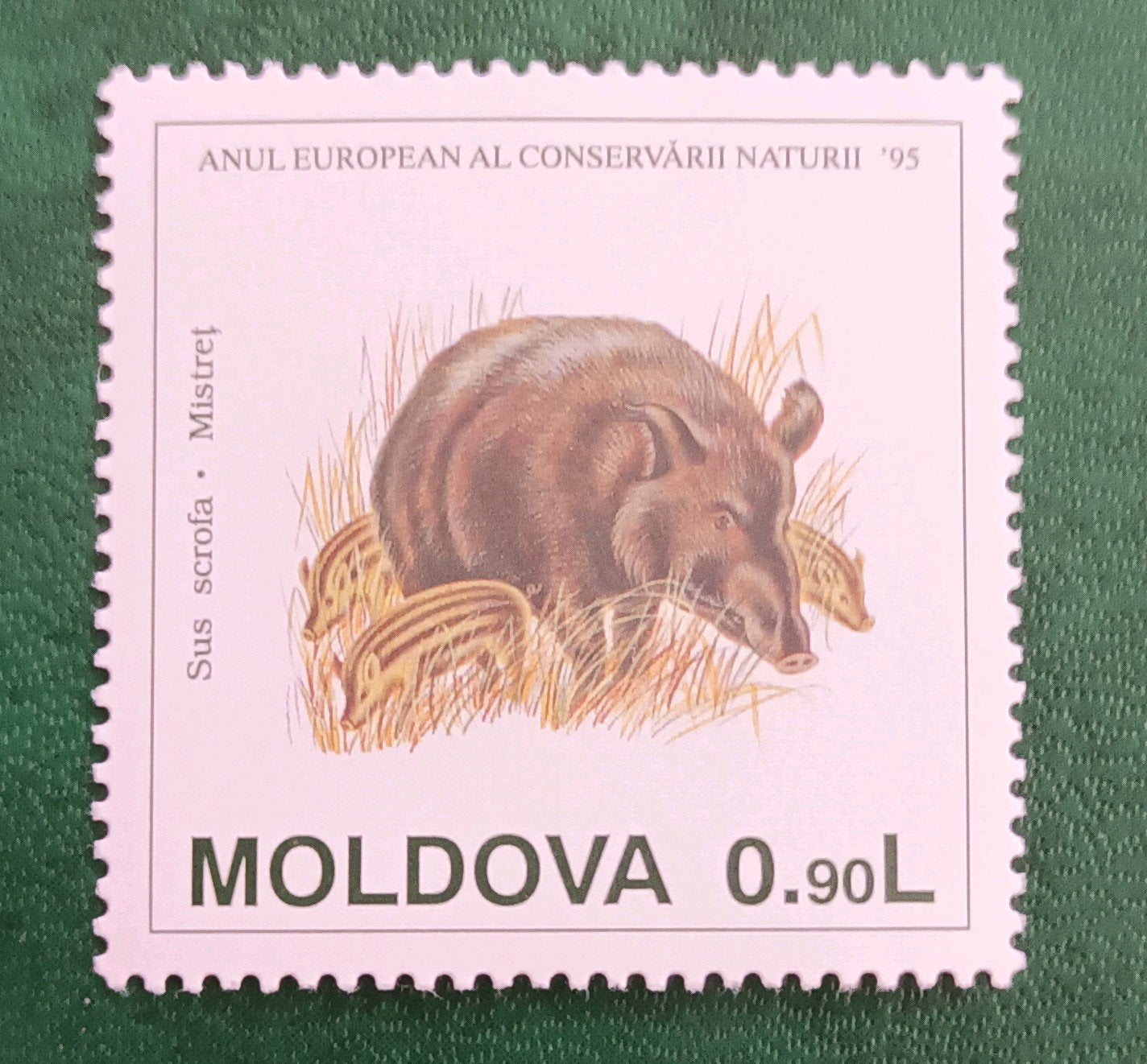 Moldova 1995 pz dieren MNH, Verzenden, Overige landen, Postfris