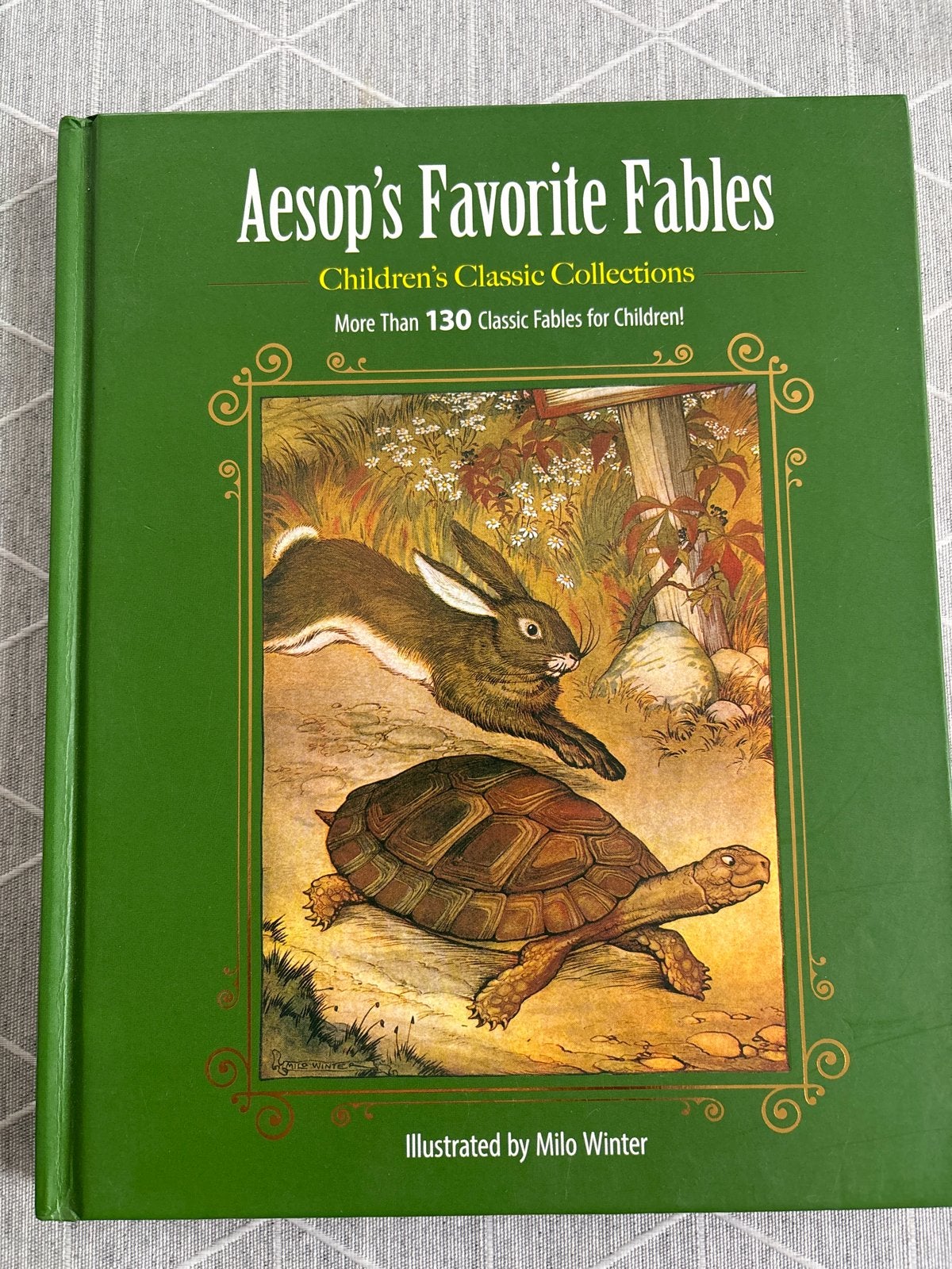 Aesop's Favorite Fables - Kinderklassieker, Ophalen of Verzenden, Zo goed als nieuw