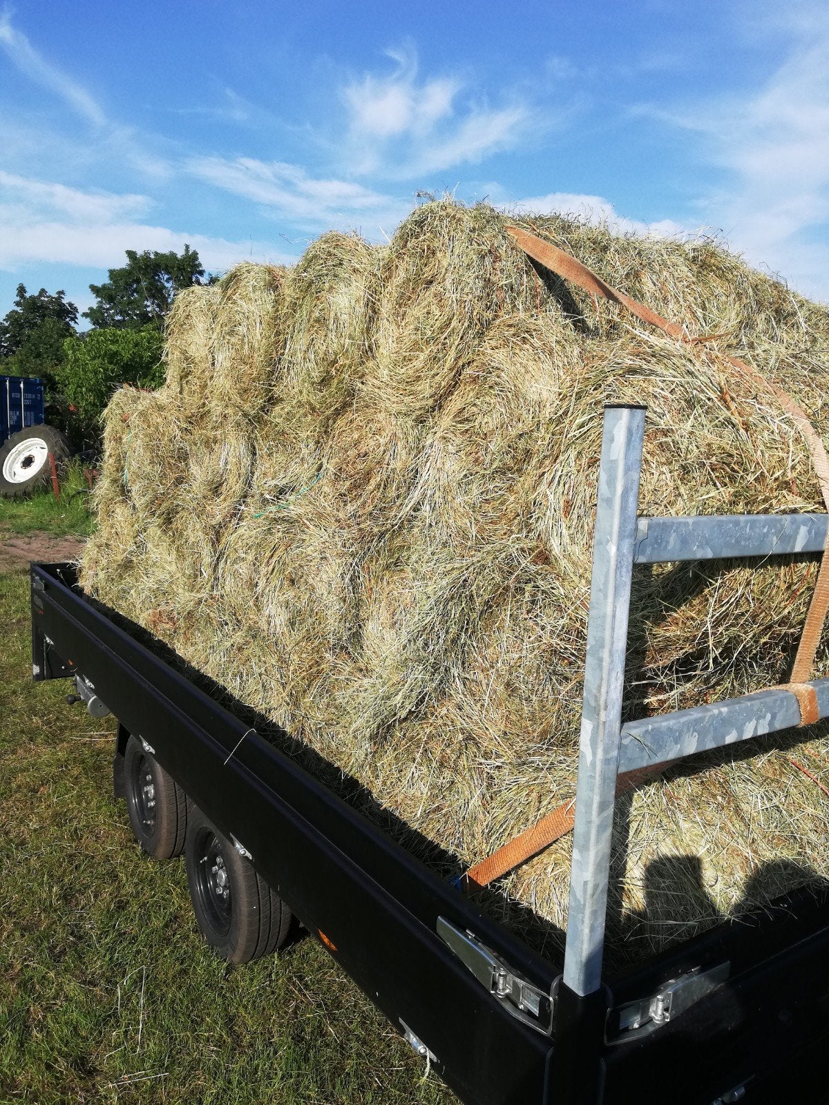 Kleine balen hooi / Mini balen van goede kwaliteit, Dieren en Toebehoren, Ophalen, Vee