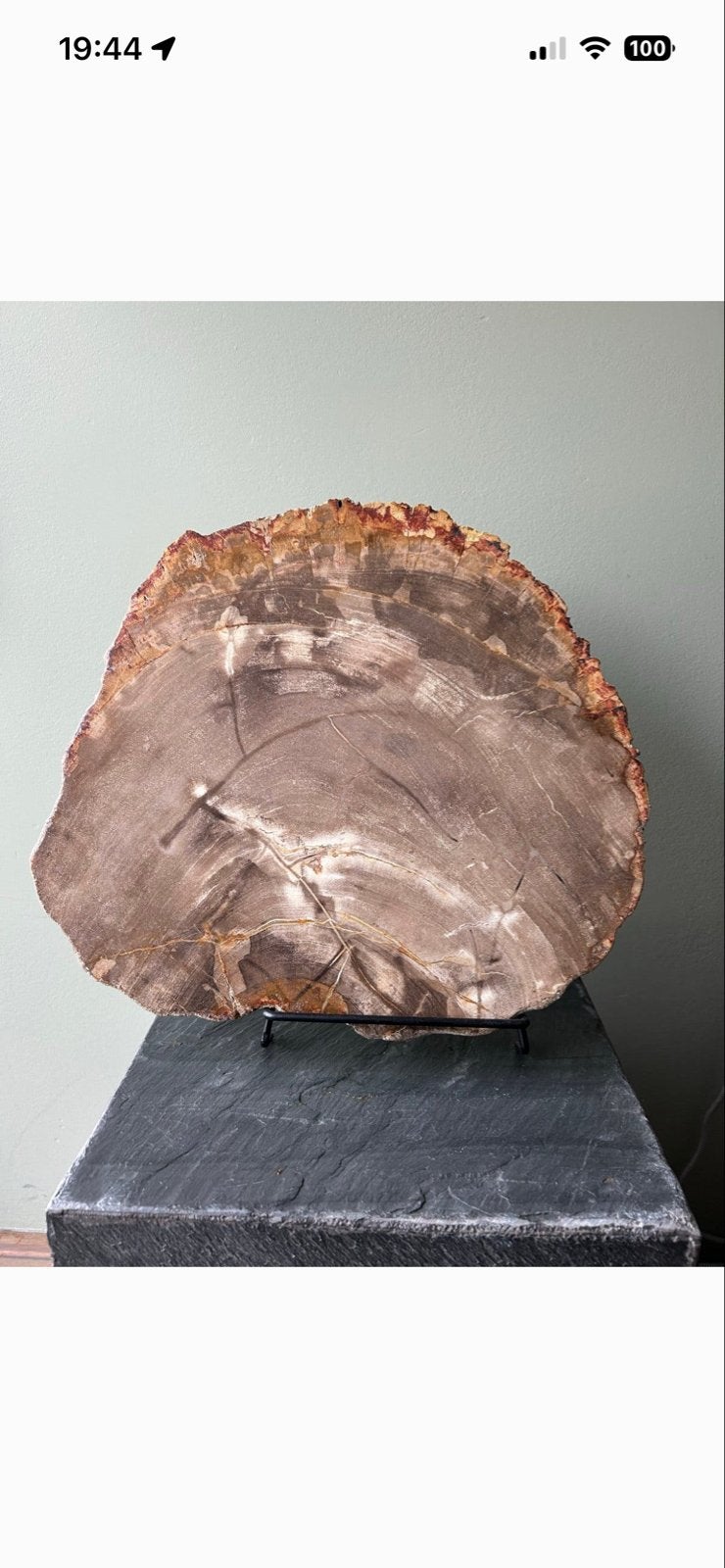 Prachtig versteend hout op standaard - Uniek decoratiestuk, Ophalen of Verzenden, Fossiel