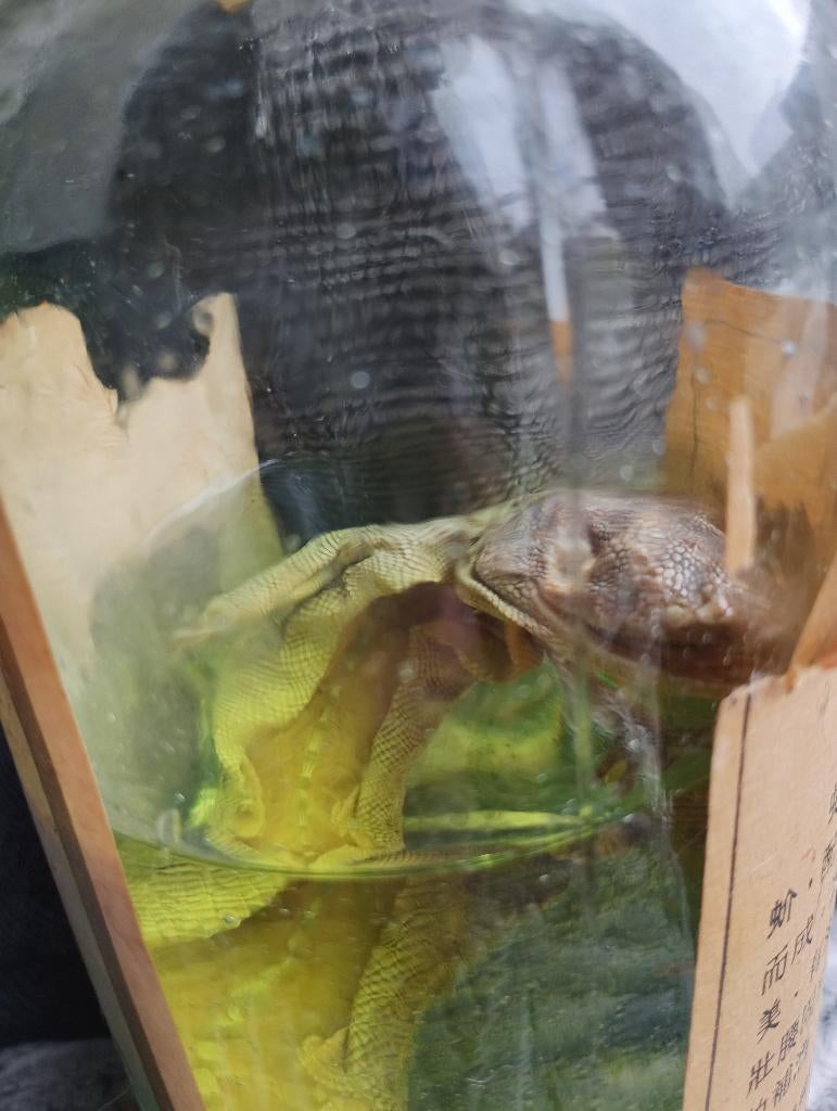 Chinese rijstwijn met gekko, Ophalen, Overige gebieden, Overige typen, Zo goed als nieuw