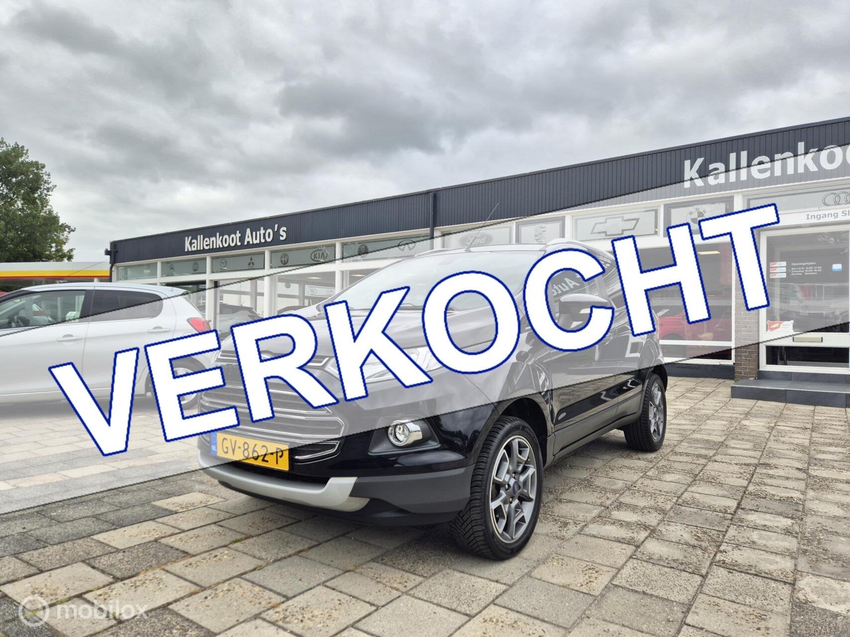 Ford EcoSport 1.0 EcoBoost Titanium, Trekhaak ,Clima, Cruise, Auto's, Voorwielaandrijving, 125 pk, Gebruikt, Ecosport