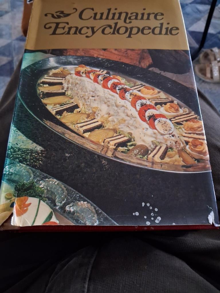 Culinaire Encyclopedie, Boeken, Kookboeken, Ophalen of Verzenden, Zo goed als nieuw, Elsevier