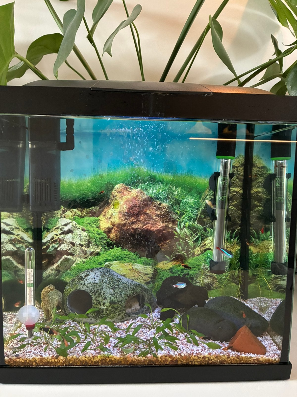 Compleet draaiend aquarium 25 liter, Dieren en Toebehoren, Ophalen, Zo goed als nieuw, Gevuld zoetwateraquarium