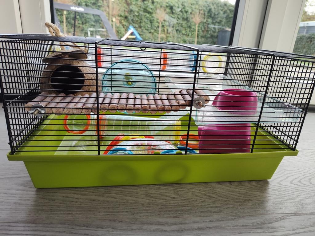 Ferplast hamsterkooi met toebehoren zoals in de kooi, Ophalen, Minder dan 75 cm, Kooi, Minder dan 60 cm