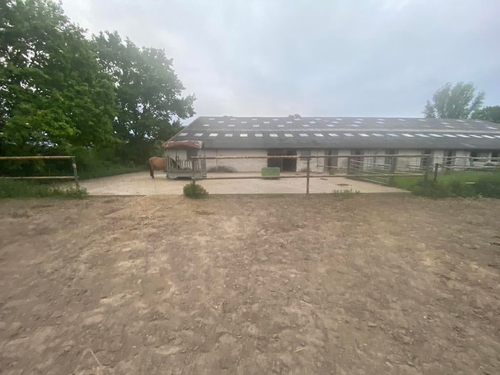 Loopstal met paddock (en evt weidegang) voor sociale merrie, Dieren en Toebehoren, Stalling en Weidegang, Weidegang, 2 of 3 paarden of pony's