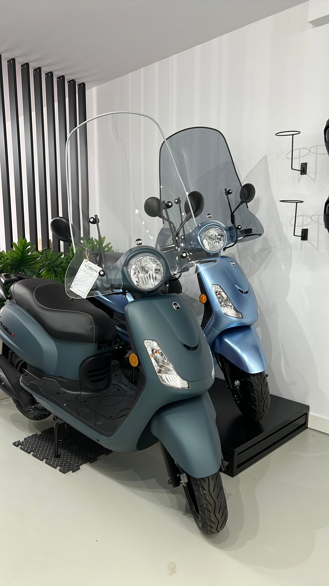SYM FIDDLE 2 E5+ | NIEUW | DIRECT LEVERBAAR | ACTIE, Fietsen en Brommers, Scooters | SYM, Nieuw, Fiddle, Maximaal 45 km/u, Benzine